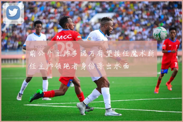 前公牛主帅多诺万有望接任魔术新任主帅领跑者身份浮出水面
