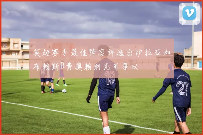 英超赛季最佳阵容评选出炉拉亚加布赖斯B费奥赖利无可争议